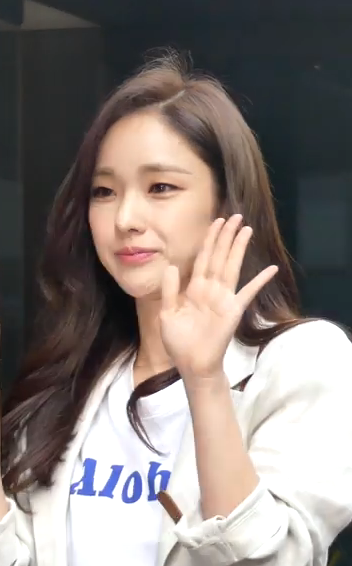 박아인