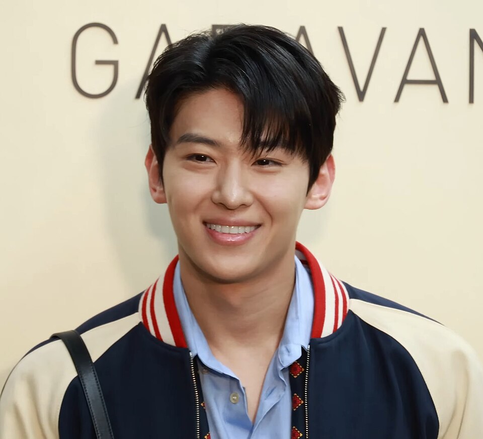 덱스