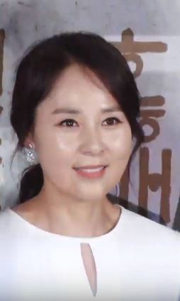 전미선